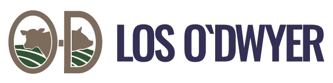 Los O'Dwyer S.A.