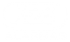x28-alarmas-logo